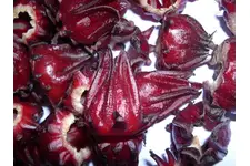 Nar Çiçeği Hibiskus Kullanımı ve Faydaları Nelerdir?